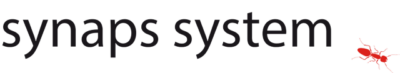 logo synaps 2024.jpg